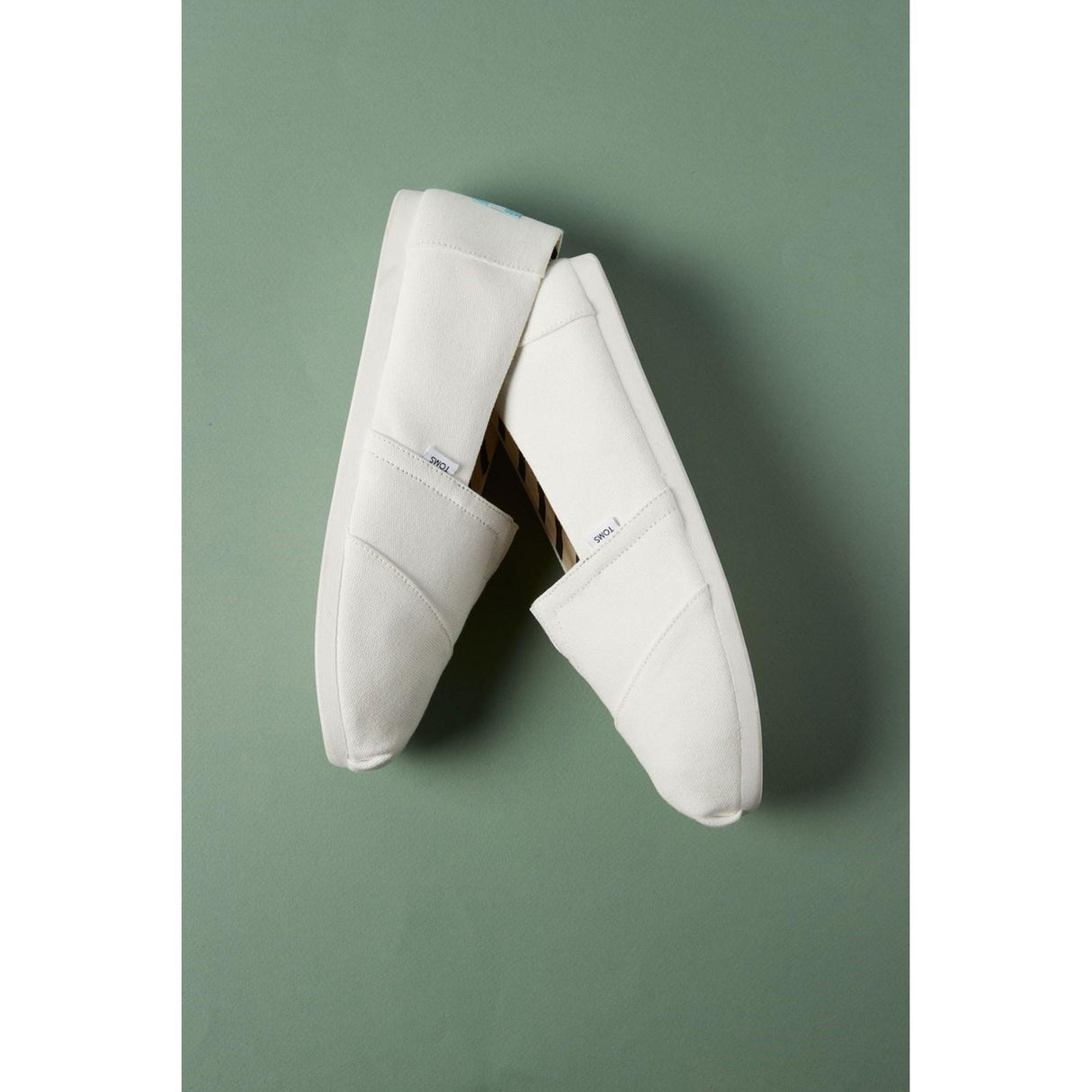 TOMS Mens Alpargata Shoes White