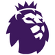 Premier League Sleeve Badge - Adults