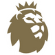 Premier League Sleeve Badge GOLD - Adults
