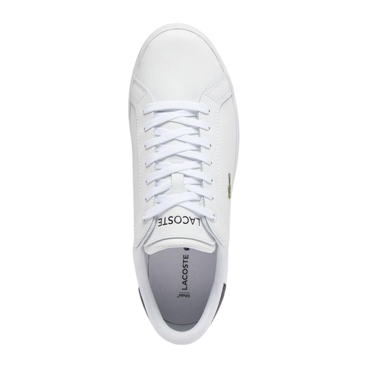 Lacoste Mens Powercourt Leather Flat Trainers White/Black