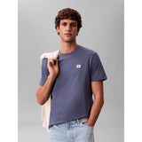 Calvin Klein Mens Box Logo Cotton Crew Neck Regular T-Shirt Nomad