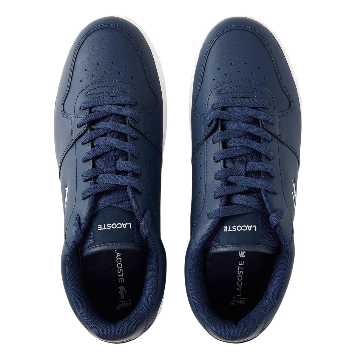 Lacoste Mens Court Ace Shoes Navy/White