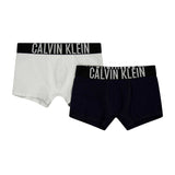 Calvin Klein Boys Boxer Briefs (Pack of 2) Navy/White
