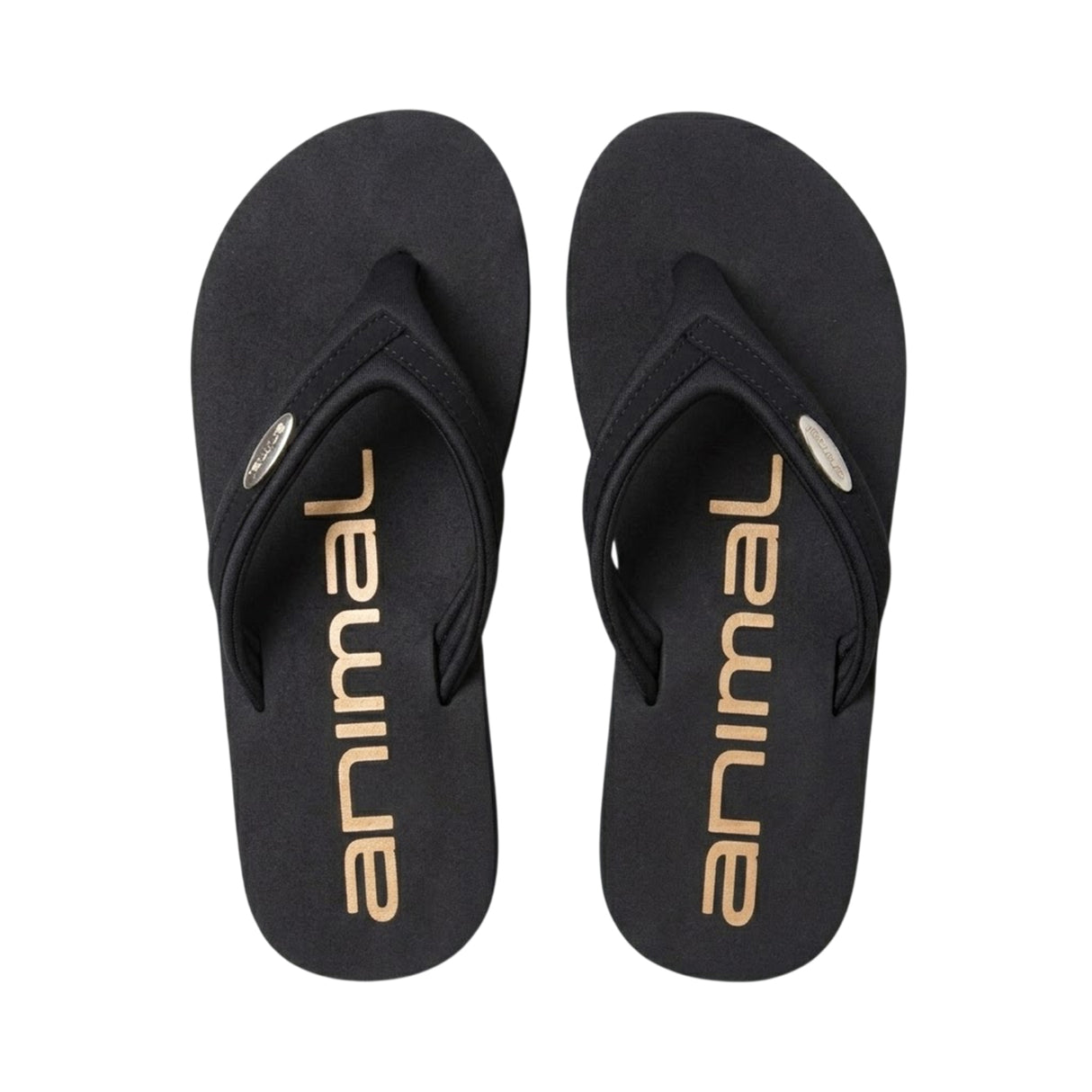 Animal Womens Swish Recycled Flip Flops Black