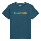 Animal Mens Jacob Distressed Logo T-Shirt Teal