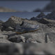 adidas Terrex Skychaser AX5 GORE-TEX Mens Hiking Shoes