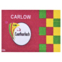 Intro Carlow Large 5x3 Flag