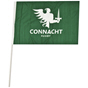 DJ Daly Connacht Handheld Flag Green