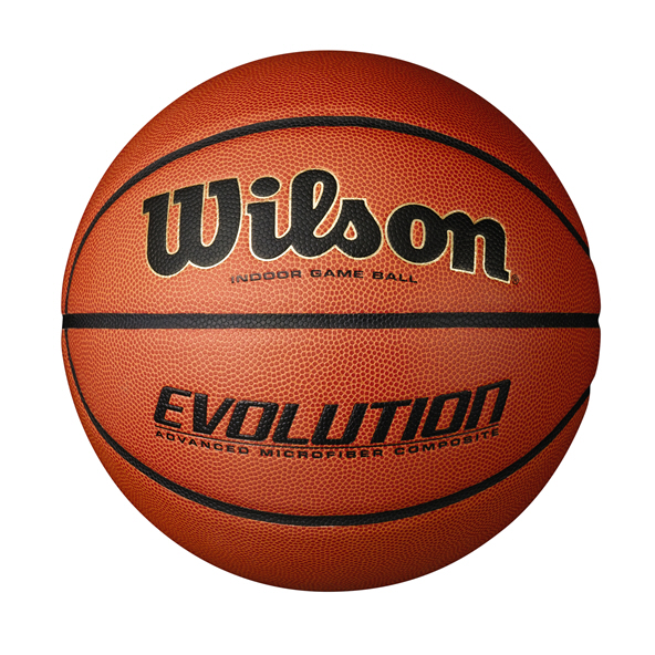 Wilson Evolution Game Ball