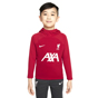 Nike Liverpool 2022/23 Academy Junior Kids Hoodie