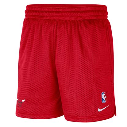 Nike Chicago Bulls NBA Shorts