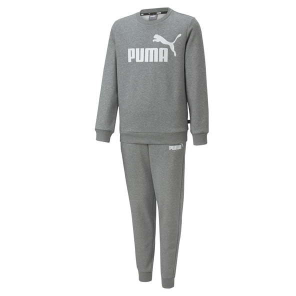 Puma Boys Sweat Suit FL Grey