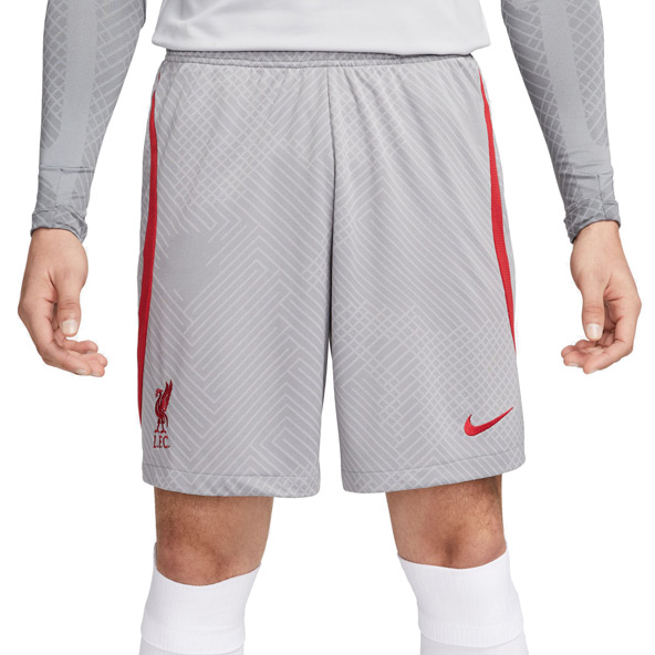 Nike Liverpool 22 Strike Short Grey, GREY