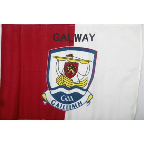 TCF Galway GAA Handheld Flag