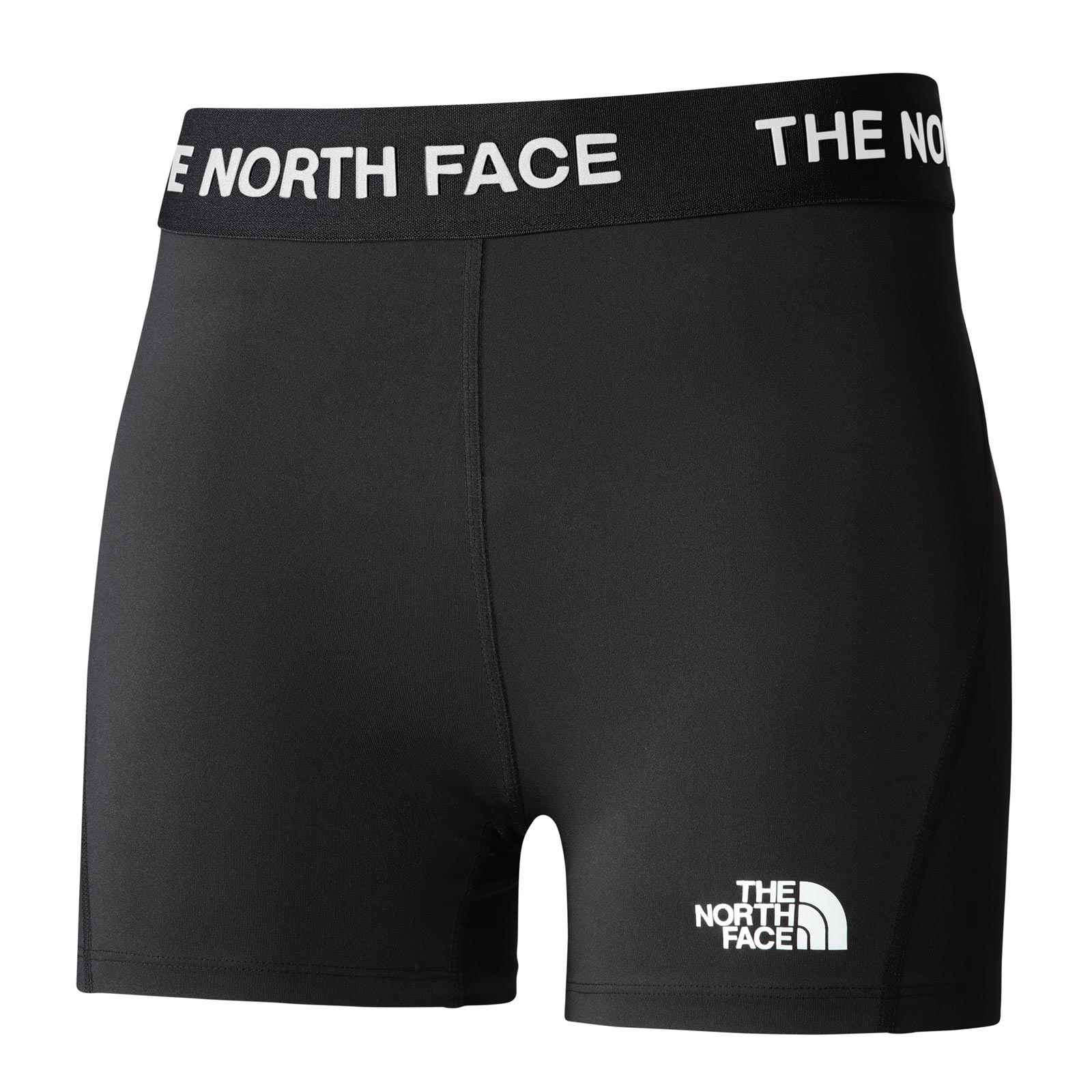 THE NORTH FACE WOMENS TRAINING SHORTS