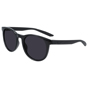 Nike Horizon Ascent Sunglasses