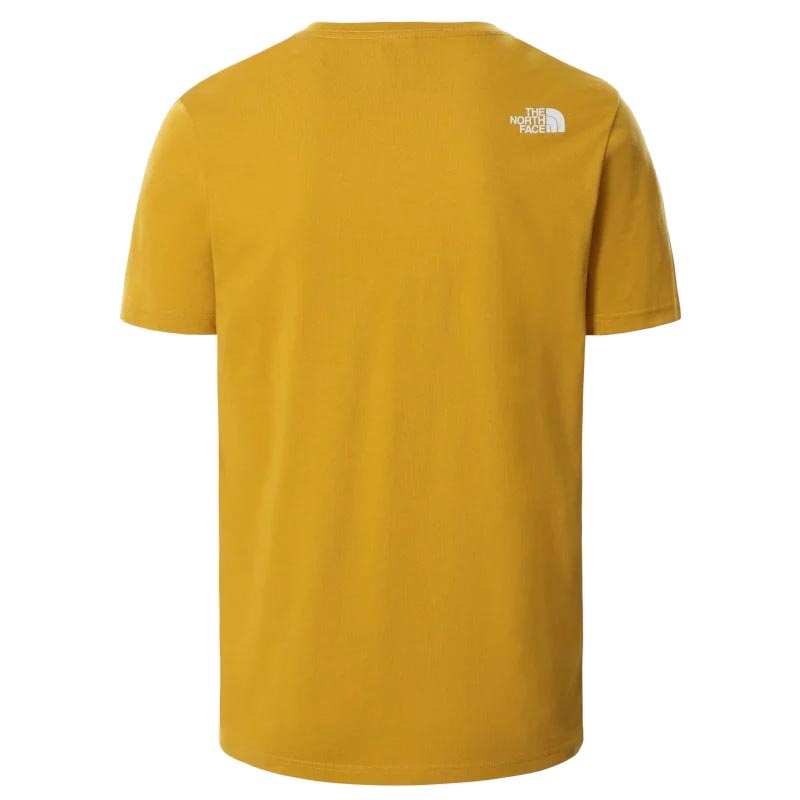 THE NORTH FACE MENS MOUNTAIN GRAPHIC SHORT SLEEVE T-SHIRT