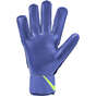 Nike GK Match Glove Blue