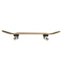 Firefly 505 Adult Skateboard