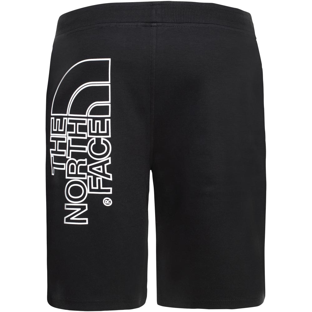 THE NORTH FACE GRAPHIC LIGHT MENS SHORTS
