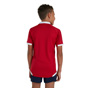 Canterbury Lions Pro Jersey K Red