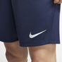 Nike Mens Dri-FIT Park III Shorts
