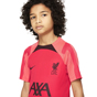 Nike Liverpool Football Club Kids Strike Top