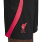 Nike Liverpool Football Club 2022/23 Strike Shorts