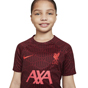 Nike Liverpool Football Club 2022/23 Kids Pre-Match Jersey
