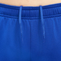 Nike PSG Strike Dri-Fit Pants Blue