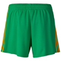 O'Neills Donegal 2024 Home Printed Short