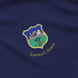 O'Neills Tipperary GAA 2024 Player Fit Training Jersey