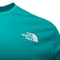 The North Face Odles Logo Mens T-Shirt