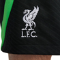 Nike Liverpool FC 2023 Strike Shorts