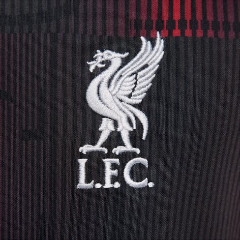 Nike Liverpool FC Academy Pro Dri-FIT Soccer Pre-Match Jersey