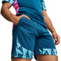 Puma individualFINAL Mens Shorts