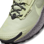Nike Pegasus 3 GoreTex Womens Trail Shoes