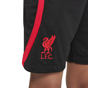 Nike Liverpool Football Club 2022/23 Kids Strike Shorts
