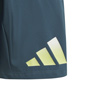adidas Train Icons Logo Boys Shorts