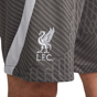 Nike Liverpool FC 4th Strike Mens Dri-FIT Soccer Shorts