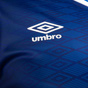 Umbro Waterford 22 Kids Home Jersey Blue