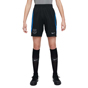 Nike FC Barcelona 2022 Strike Dri-FIT Knit Soccer Shorts