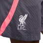 Nike Liverpool FC 2023 3rd Strike Drill Shorts