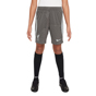 Nike Liverpool FC 4th Strike Kids Dri-FIT Soccer Shorts