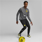 Puma Borussia Dortmund 2022/23 Mens Football Training Pants